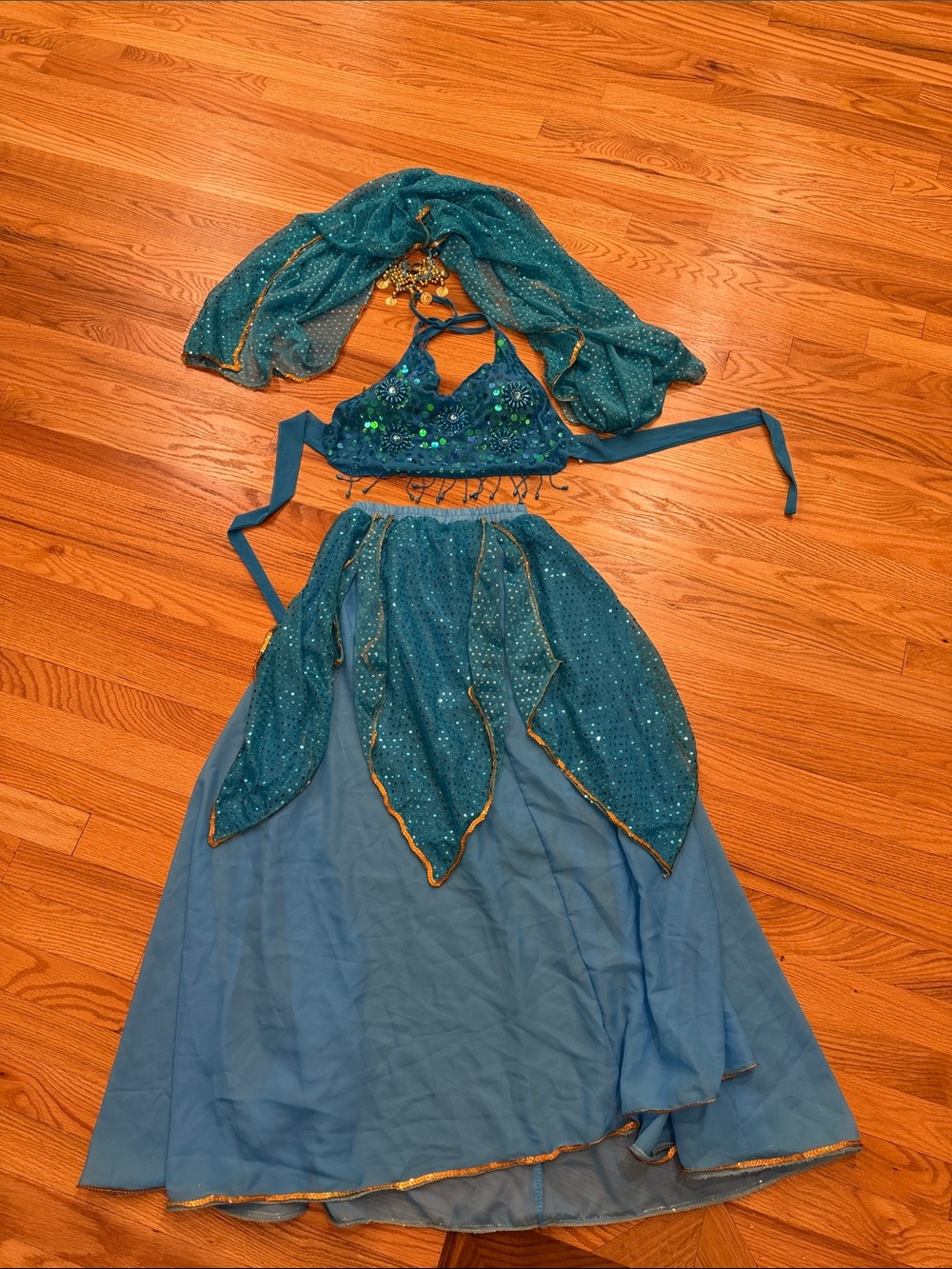 Teal Sparkle 3 piece Harem belly dance Costume